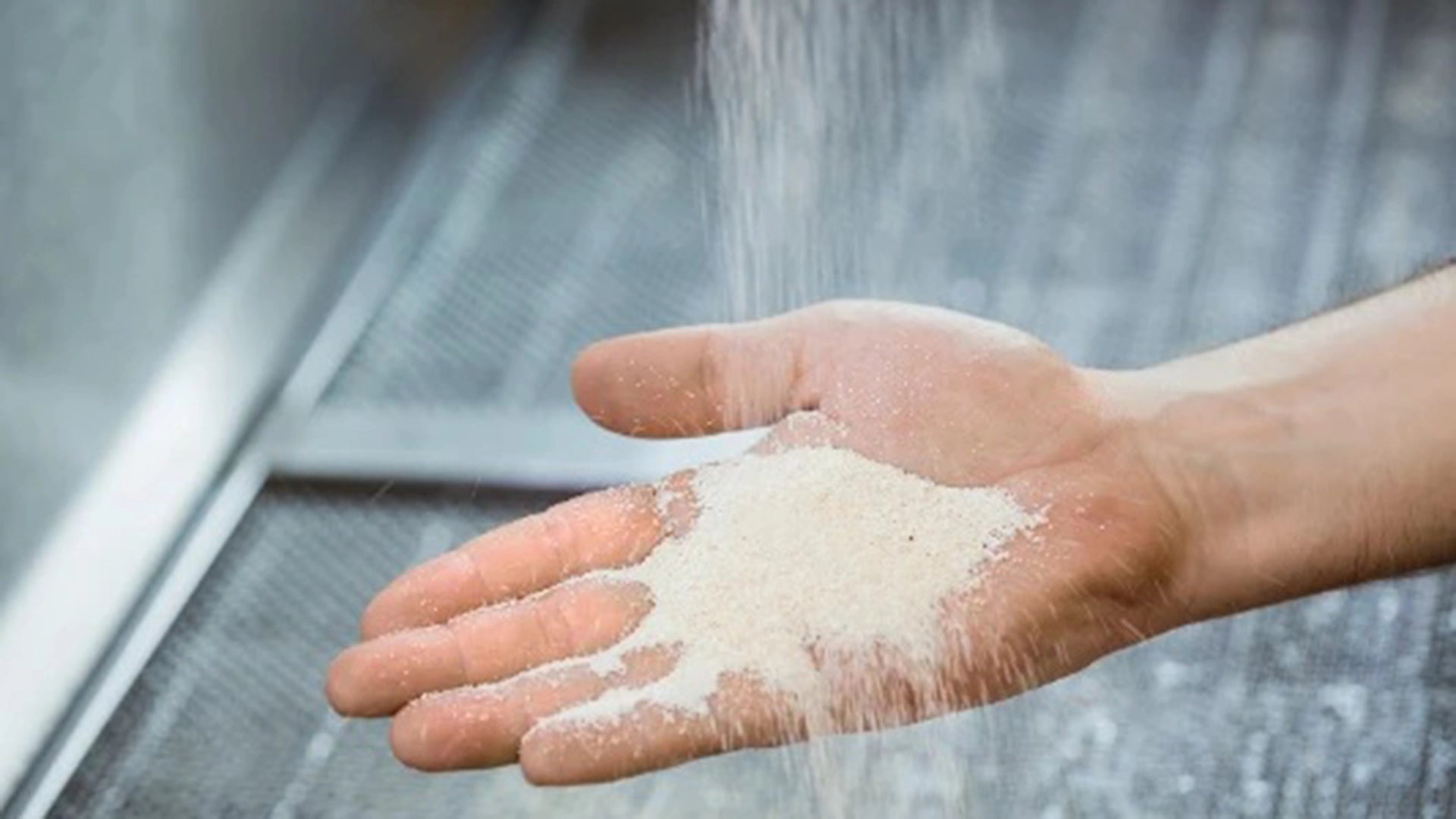Hand holding a small amount of granulate against a blurred background.